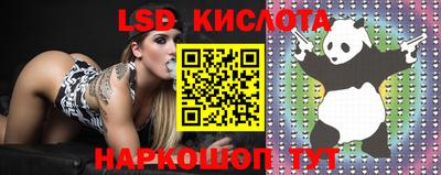 PSILOCYBIN Малгобек