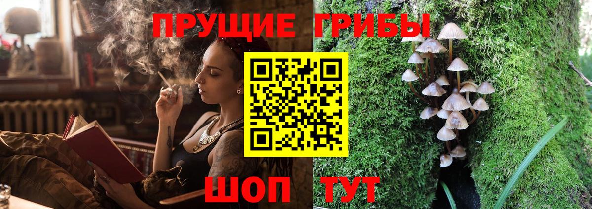 Псилоцибиновые грибы Psilocybine cubensis  Вход с VPN  Тюмень 